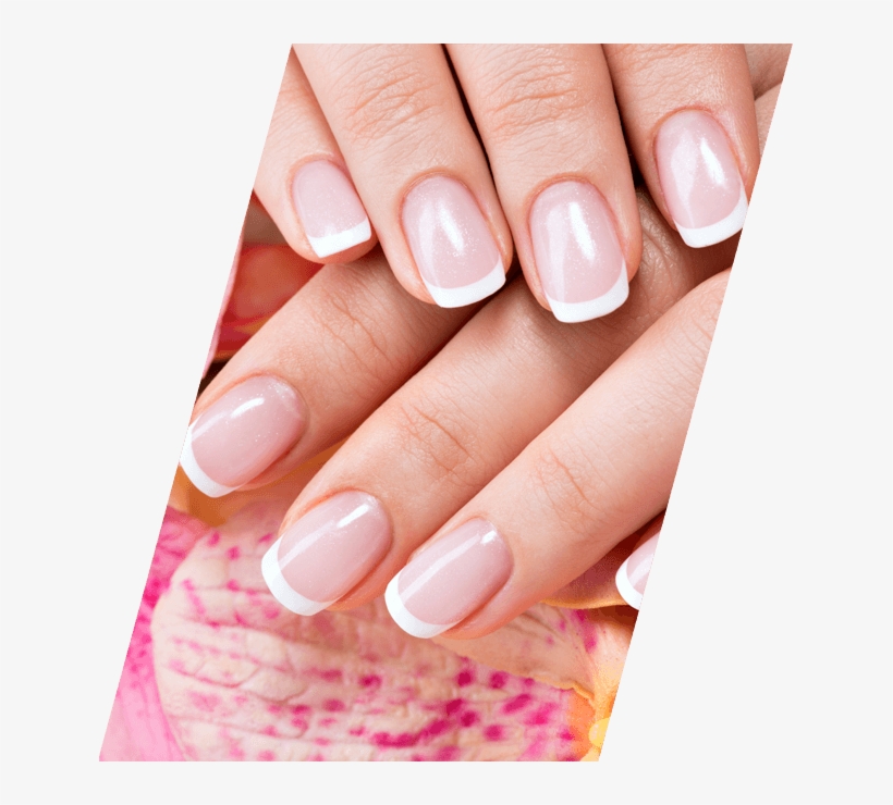 Nails - French Manicure, transparent png #9408163