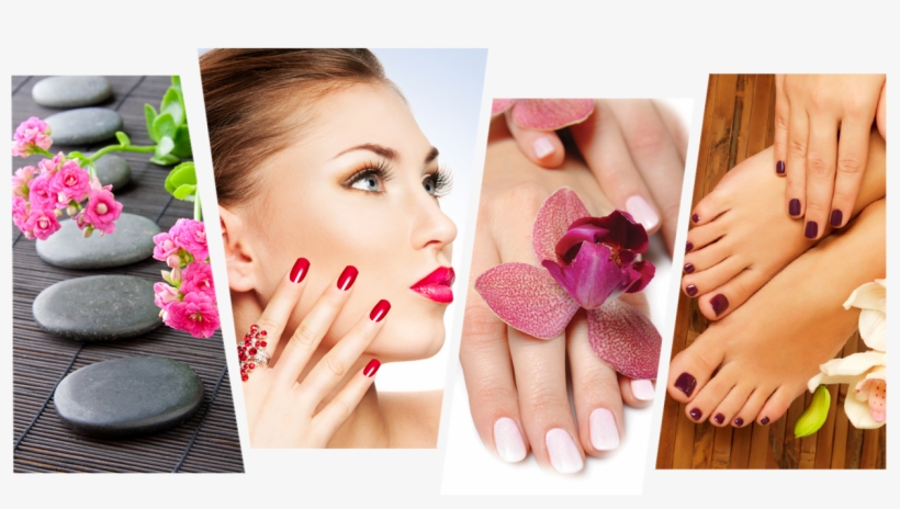Copyright © Elite Nails - Manicure, transparent png #9408205
