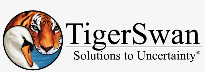 Monitoring And Evaluation Specialist - Cartoon, transparent png #9408280