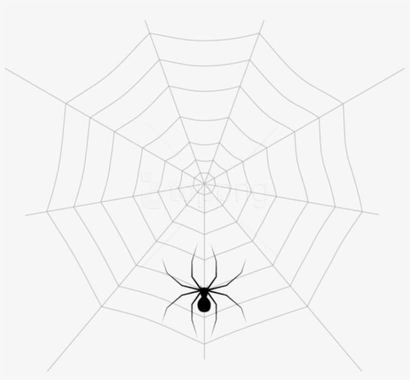 Free Png Web And Spider Png Images Transparent - Spider Web, transparent png #9409208