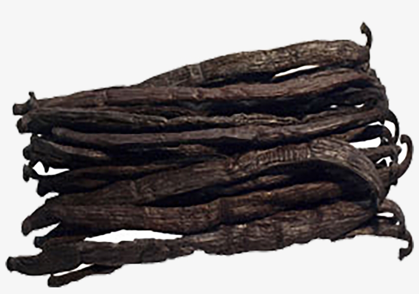 S717088470361350286 P183 I1 W2500 - Leather, transparent png #9411335