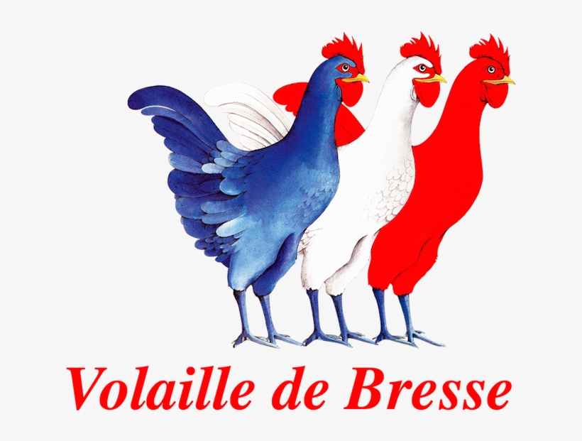Red White Blue Volaille De Bresse Vive La - Civb, transparent png #9411846