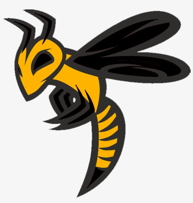 Ohio Swarm - 9u - Select Division - Current Roster - Hornet Logo, transparent png #9413342