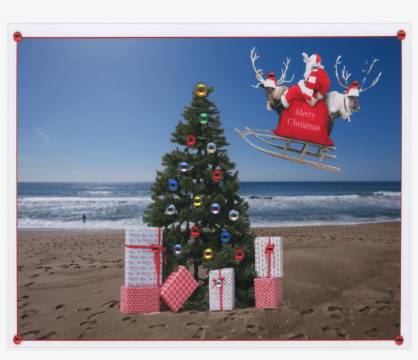 Holiday Opc29 Notecard - Christmas Lights, transparent png #9413416