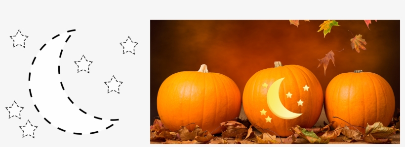 The Whole Site - Pumpkins With Cats Halloween, transparent png #9414552