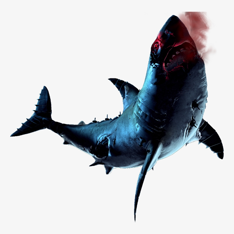 Greetings - Specimen 8 Great White, transparent png #9415045