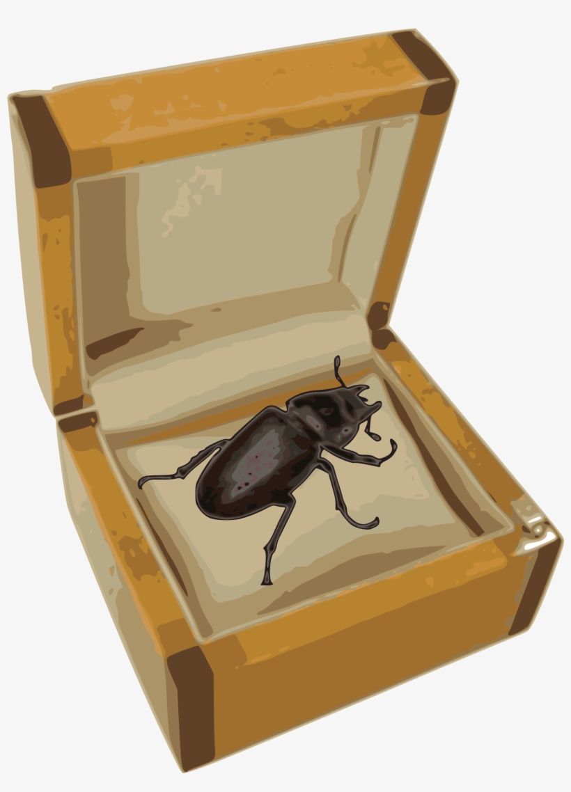 This Free Icons Png Design Of Beetle In A Box, transparent png #9415716
