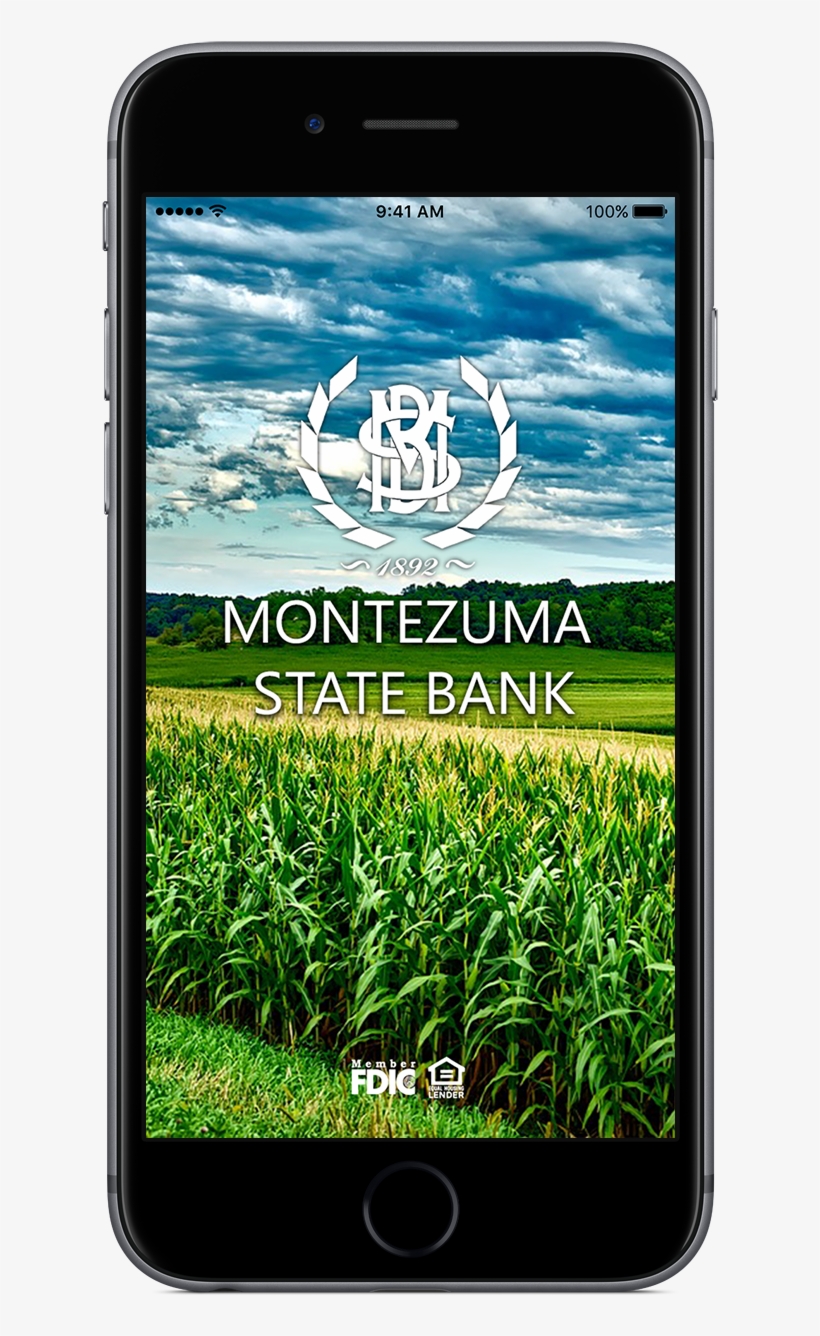 Grass, transparent png #9417845