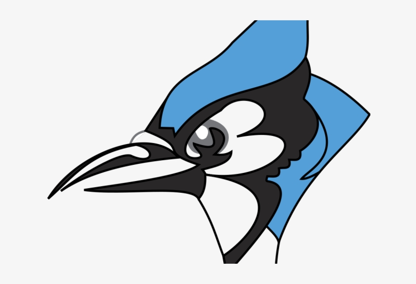 Blue Jay Clipart Johns Hopkins - Middlesex High School Blue Jays, transparent png #9418134