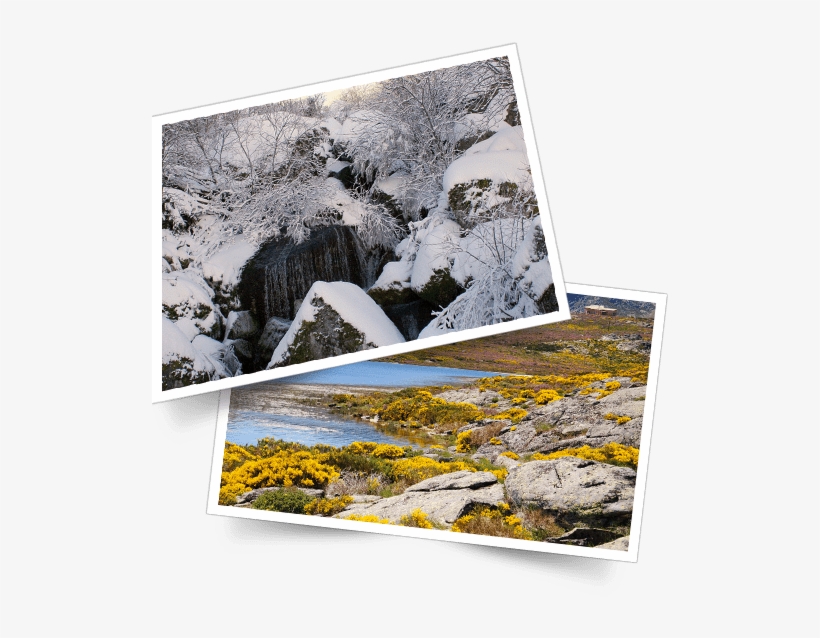Serra Da Estrela Foto - Rock, transparent png #9420105