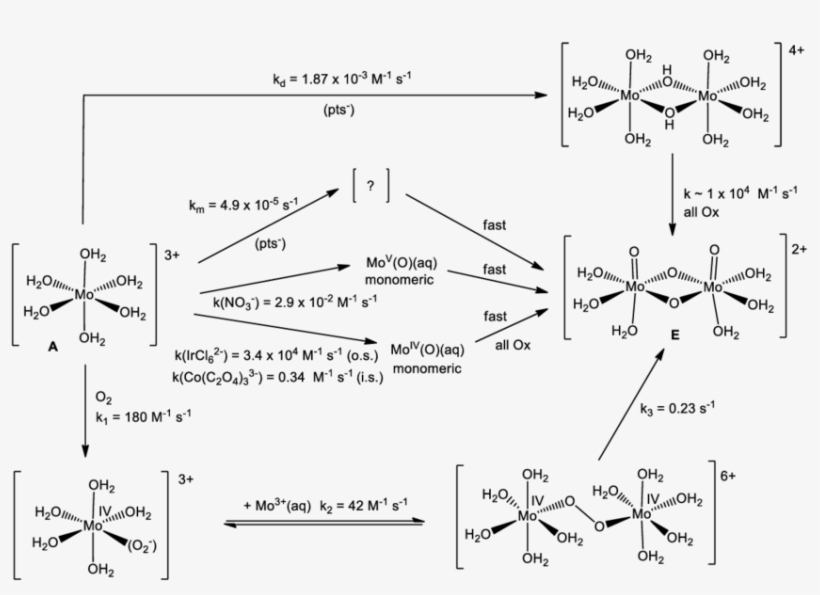 Reaction Pathways For Oxidation Of [mo 6] 3 A To - Diagram, transparent png #9422917