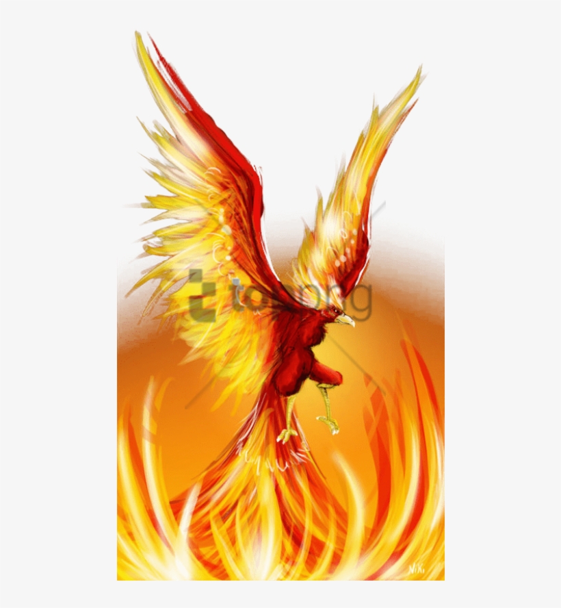Free Png Fire Phoenix Png Image With Transparent Background - Fenix Bird In Tamil, transparent png #9424824