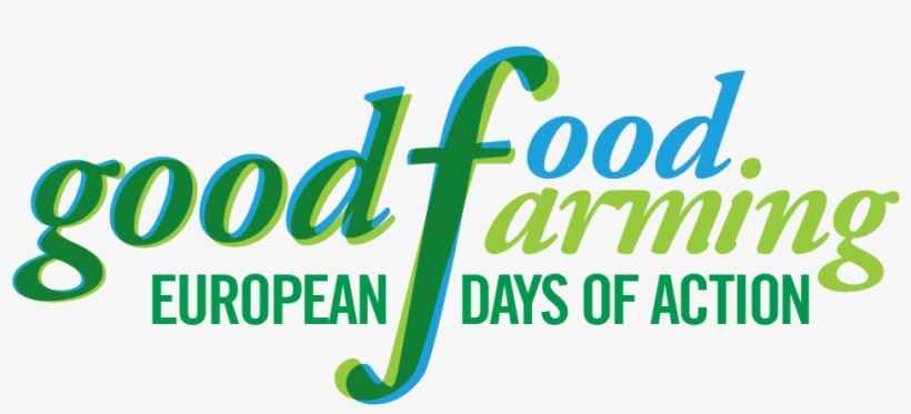 Logo No Date Png - Calligraphy, transparent png #9425669