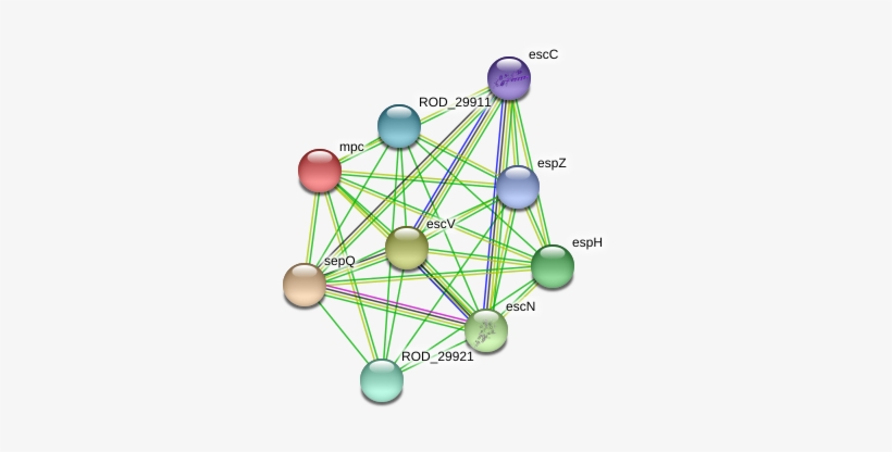 Circle, transparent png #9425882