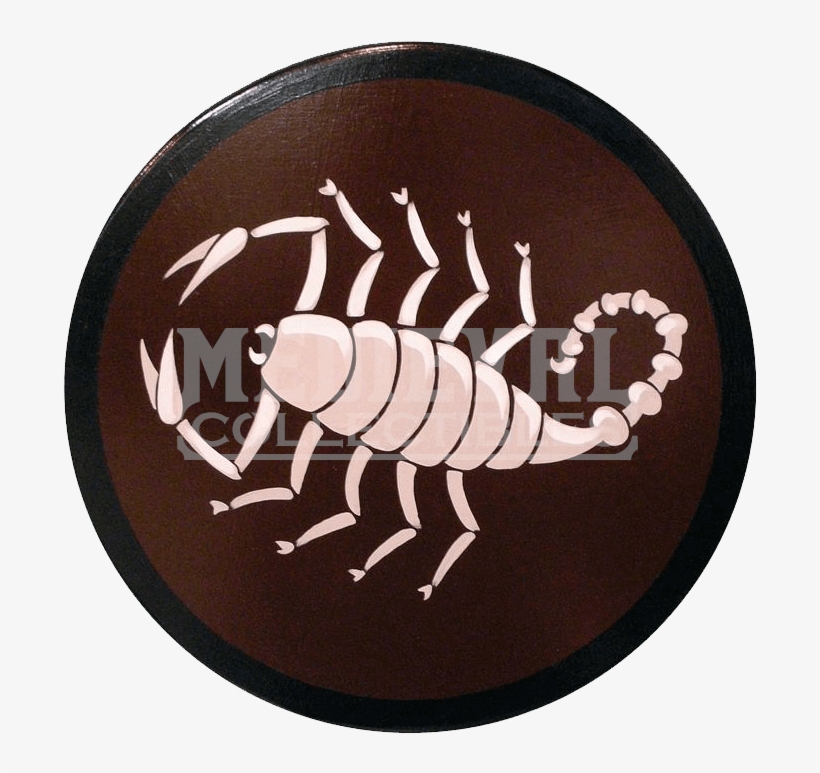 Scorpion, transparent png #9426286