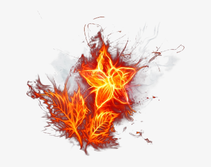 Related Wallpapers - Fire Flower, transparent png #9426483