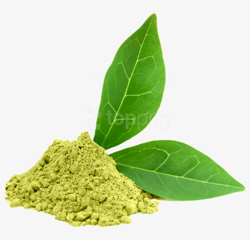 Free Png Download Green Tea Png Images Background Png - Greentea Extract, transparent png #9429880