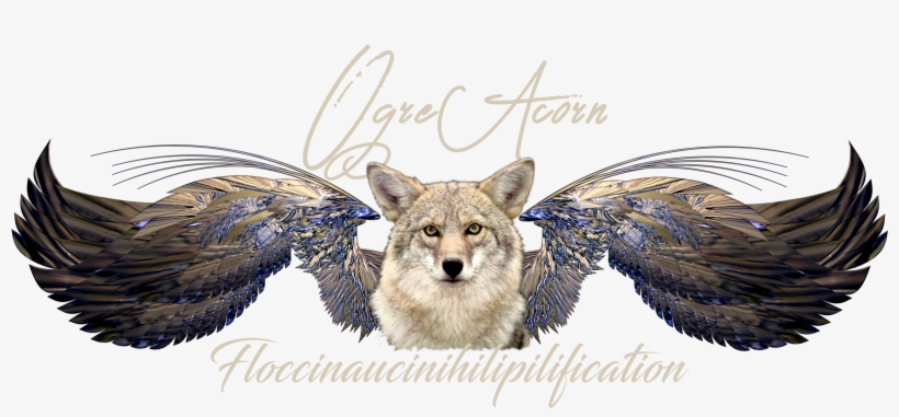 Coyote, transparent png #9430766