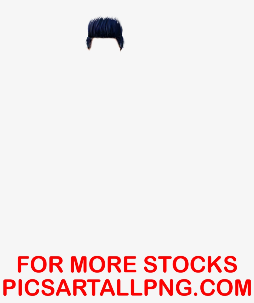 Tyty - Stallion, transparent png #9431341