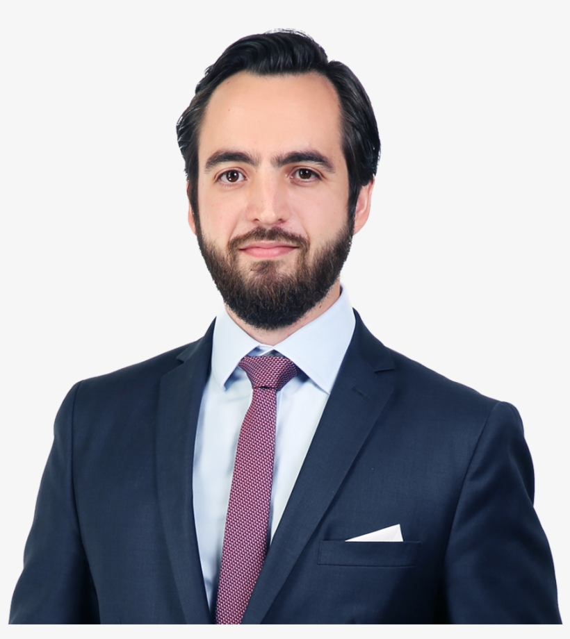 Nicolas Hohn-hein - Nicolas Hohn Hein, transparent png #9432030