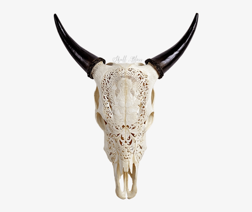 Carved Cow Skull - Horn, transparent png #9432308