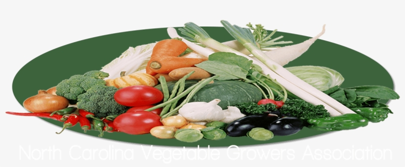 Po Box 58220, Raleigh, Nc - Lalab, transparent png #9432595