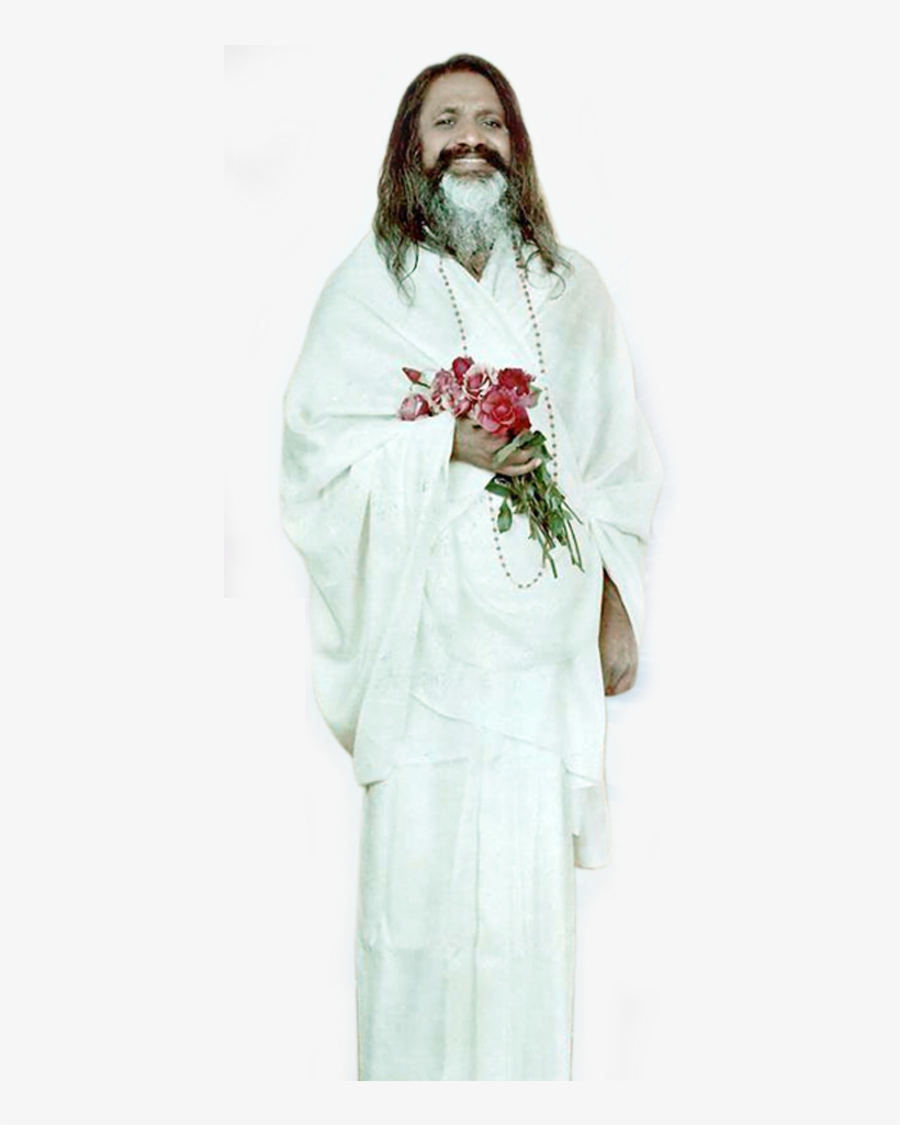 A Disciple Of His Divinity Swami Brahmananda Saraswati, - Cut Flowers, transparent png #9434315