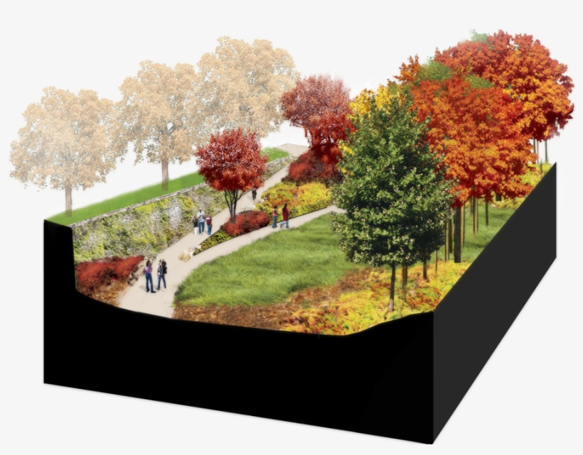 1 - Png Autumn Shrubs, transparent png #9435871