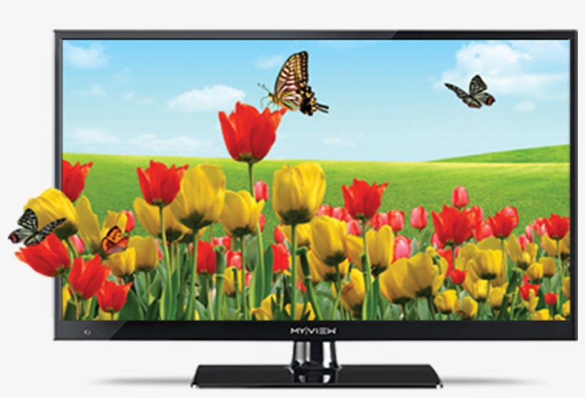 My View 24″ Led Tv, transparent png #9436639