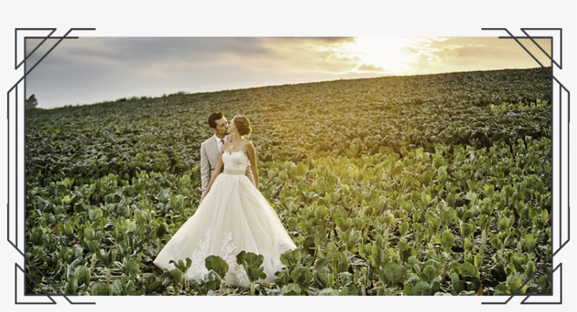 Wedding Day Photography Timeline Tips, Myths And F - Photograph, transparent png #9436992