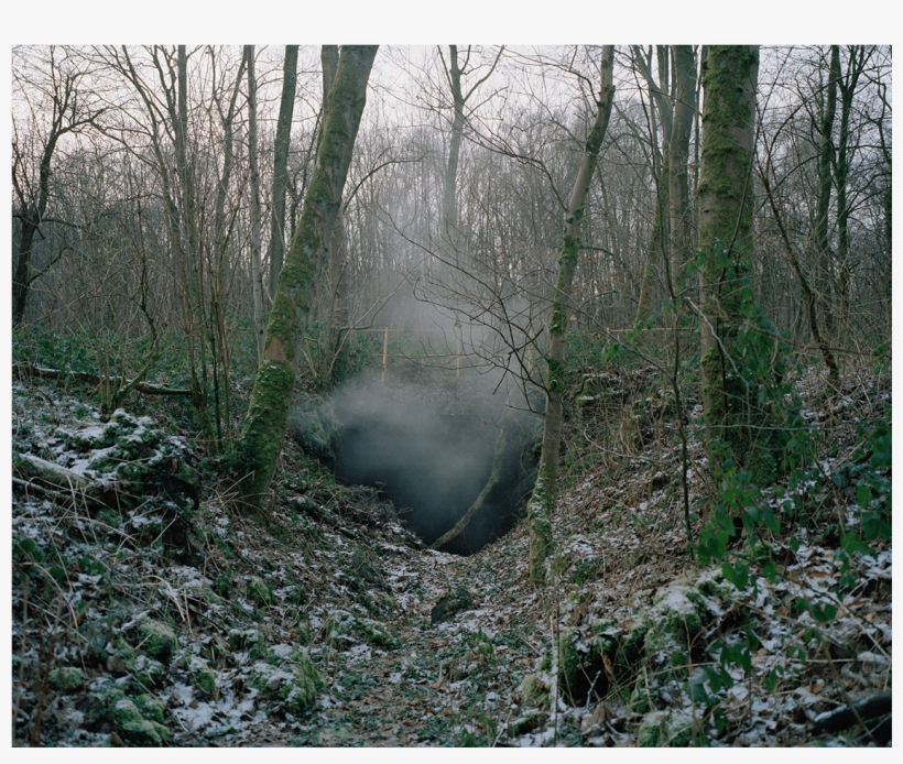 Maxime Brygo / Pavillons Et Totems - Old-growth Forest, transparent png #9438323