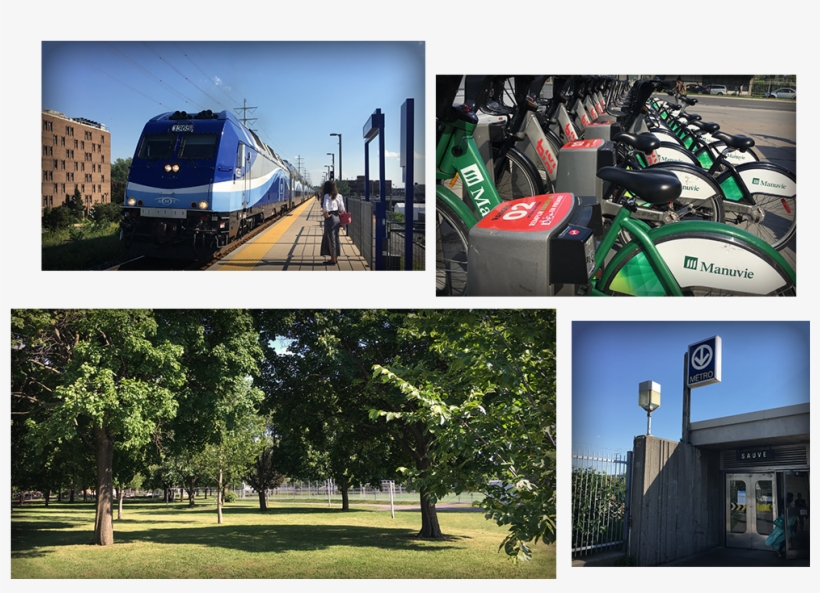 Train Metro Velo Aldea Ahuntsic - Tree, transparent png #9439074