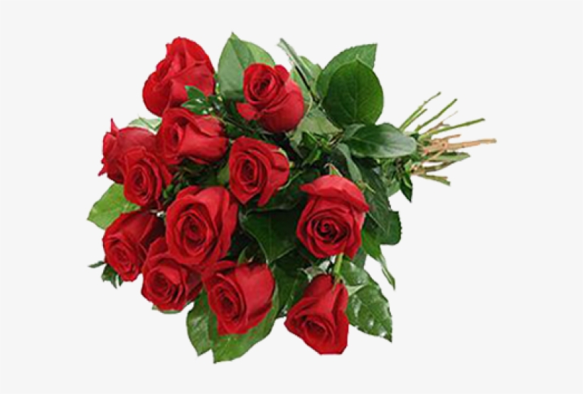 Love Potion Flowers Bunch - Roses With Bear, transparent png #9439176