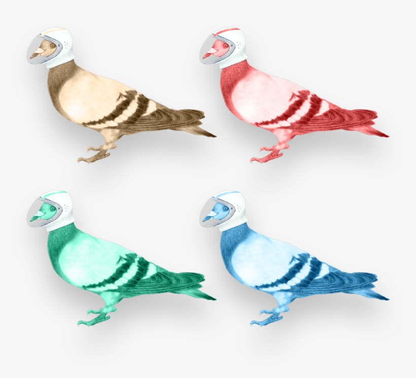 Your Digital Partners In Crime - Pigeons And Doves, transparent png #9440259