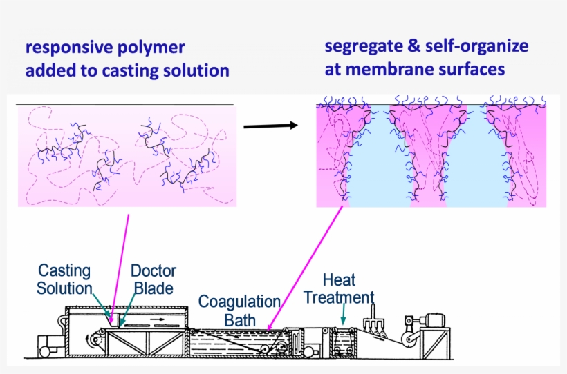 Non Solvent Induced Phase Separation Nips, transparent png #9442214