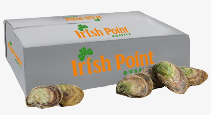 Irish Point Oysters Crassostrea Virginica - Irish Point Oysters, transparent png #9442683