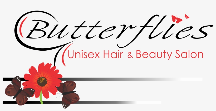 Barberton Daisy, transparent png #9443073