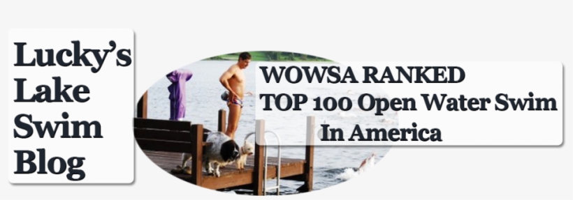 Cropped-header Nobackground3 - Georgia Font, transparent png #9443174