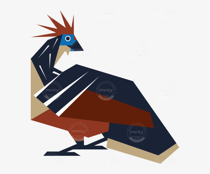 Feather Bird Hoatzin - Illustration, transparent png #9444139