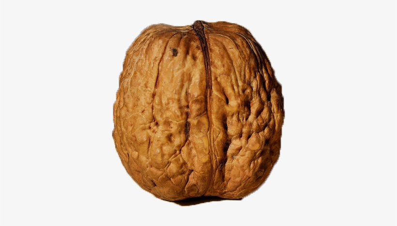 600 X 600 2 - Pista Akhrot, transparent png #9445820