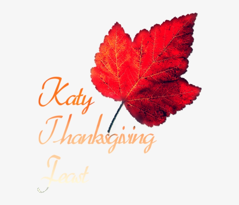 Katy Thanksgiving Community Dinner Feast Serves Home - Stylistic, transparent png #9450570