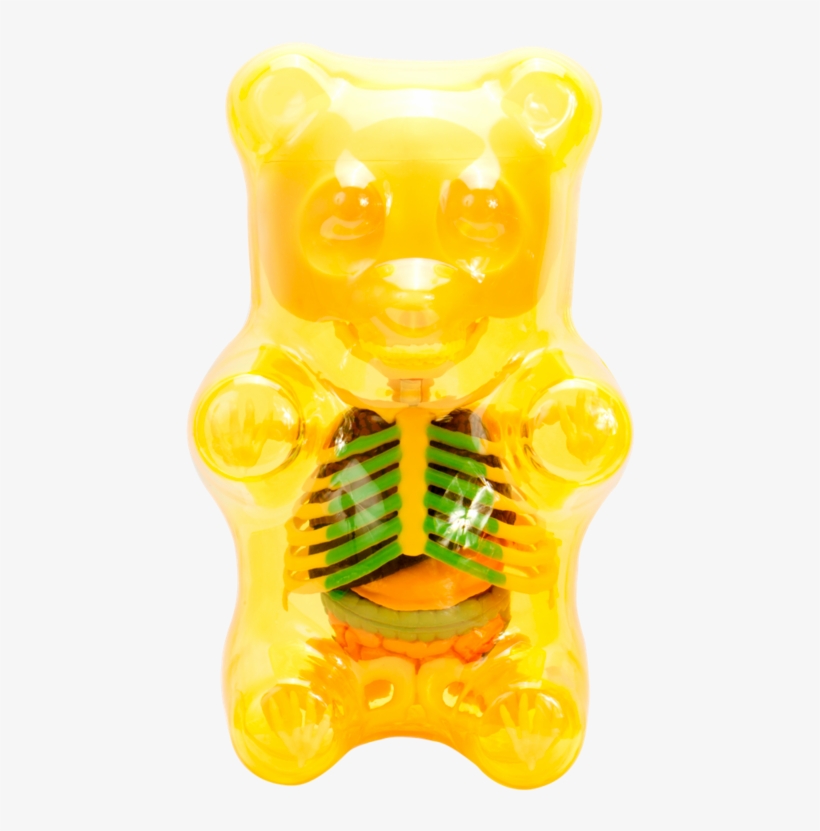 Mighty Jaxx Funny Anatomy Gummi Bear Collectible Figure - Teddy Bear, transparent png #9451834