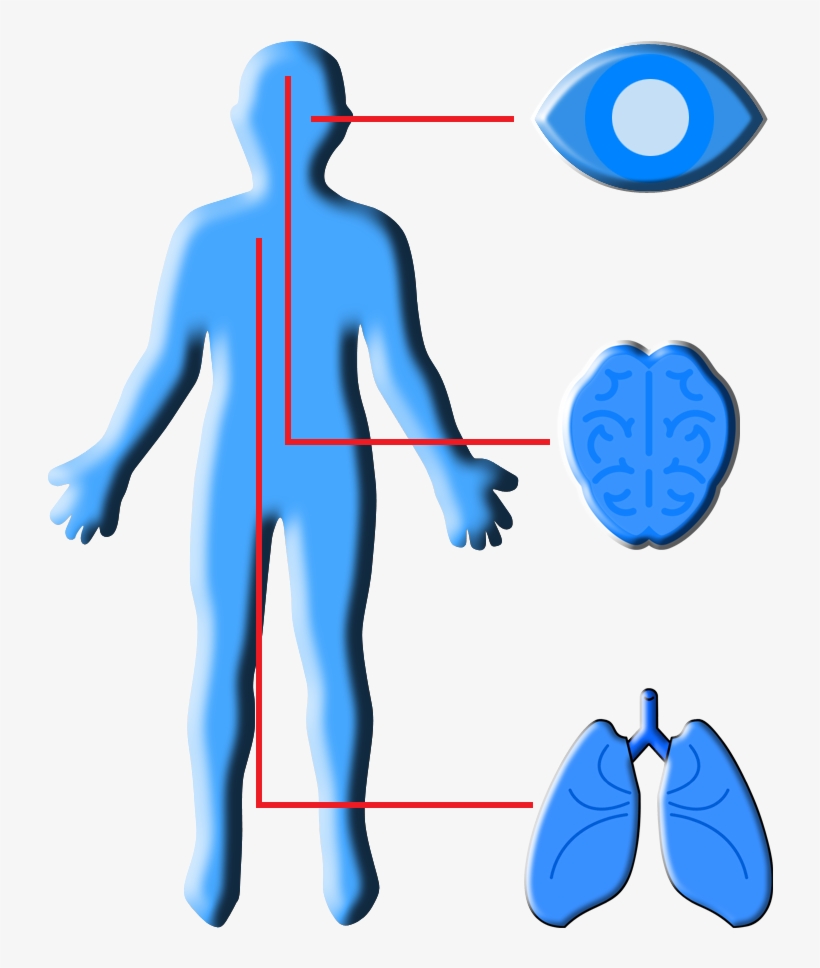 Dental Lab Applications, transparent png #9451886