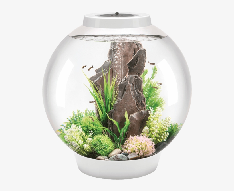 The Transparent Spherical Shape For An All-round View - Biorb Classic, transparent png #9452151