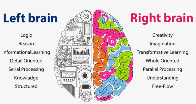 Right Brain Development - Neural Networks And Deep Learning, transparent png #9453370