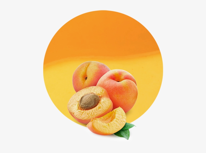 Com/wp Puree - Basix Series Caribbean Punch, transparent png #9453708