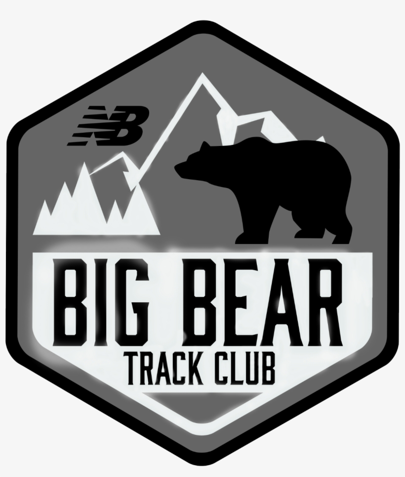 Grizzly Bear, transparent png #9454316