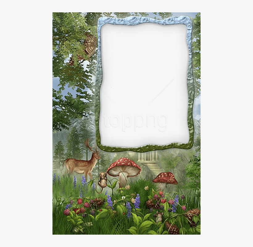 Free Png Best Stock Photos Transparent Forest Frame - Forest Frames, transparent png #9454489