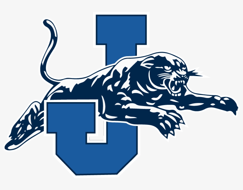 Jersey Cusd - Jerseyville Panthers Logo, transparent png #9454699
