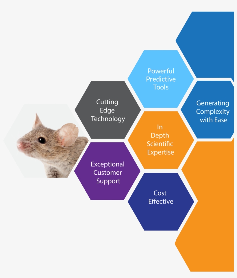 Mirimus Is Engaged In The Design, Development And Pioneering - Hobby Club, transparent png #9454921
